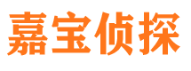 临武市侦探调查公司